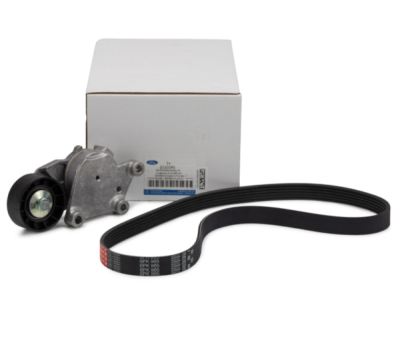 Set curea transmisie cu caneluri ORIGINAL FORD 2110241