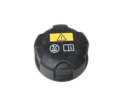 Buson, vas expansiune ORIGINAL BMW 17 13 5 A1B D89