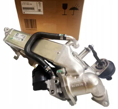 Racitor gaze + supapa EGR ORIGINAL BMW 11717810751