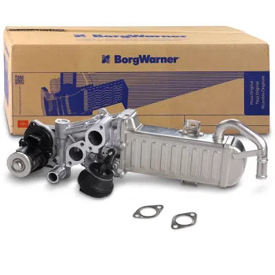 Modul-EGR BorgWarner (Wahler) 710861D