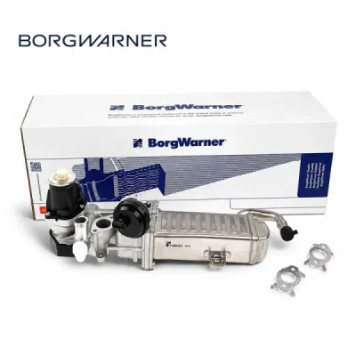 Modul-EGR BorgWarner (Wahler) 710861D