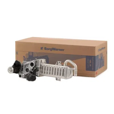 Modul-EGR BorgWarner (Wahler) 710861D