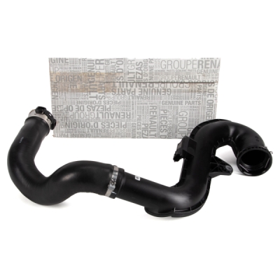 Furtun aer supraalimentare ORIGINAL RENAULT 144602453R