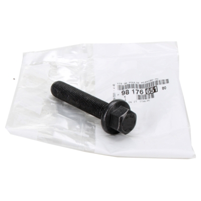 Surub pinion ax cu came ORIGINAL PSA 16 087 066 80