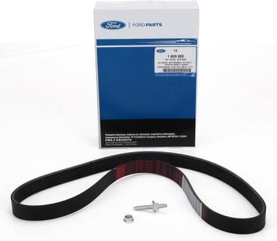 Curea transmisie cu caneluri ORIGINAL FORD 1138524