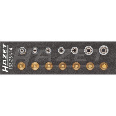 Hazet Sada nářadí Torx® 14ks 163-251/14