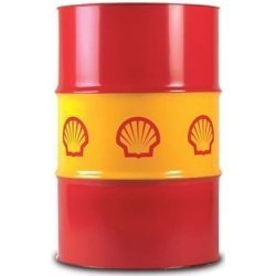 Shell Tegula V 32 209L