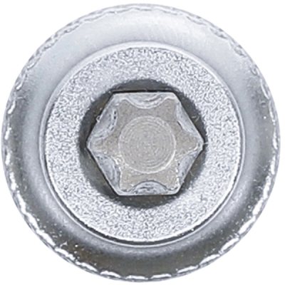 BGS 2546, Nástrčná hlavice | 10 mm (3/8") | T-profil (pro Torx) T40
