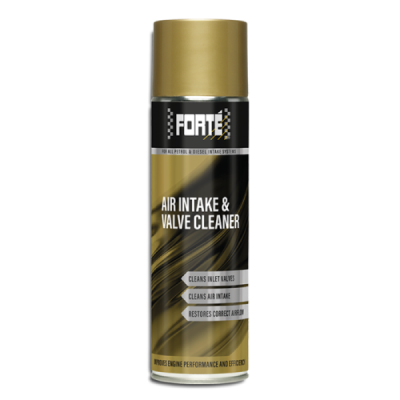 Forté J09410 Air Intake and Valve Cleaner 500ml