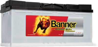 Banner Power Bull Professional 110Ah 12V 900A P110 40
