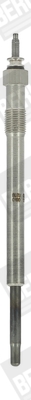 Žarnica BorgWarner (BERU) GN939