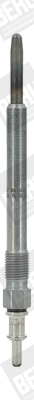 Žarnica BorgWarner (BERU) GN003