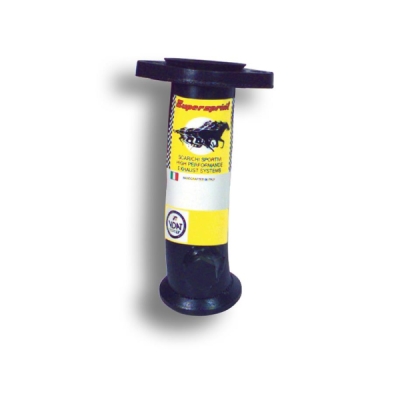 I.P. for fitting OEM ManifoldRace packageAvailable through: RC Sport France click here Supersprint 872311