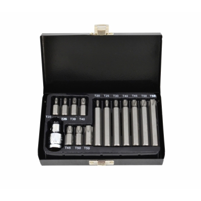 Sukimo antgalių rinkinys AWTools AW35117BL; TORX; T20-T55; 15 vnt.
