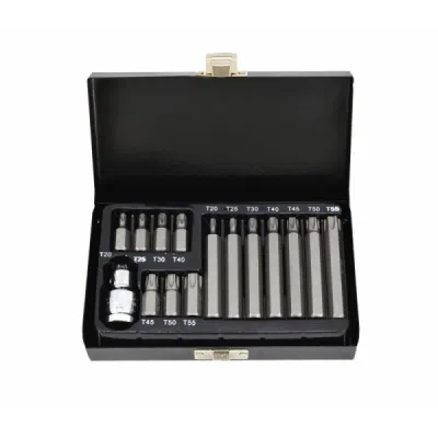Sukimo antgalių rinkinys AWTools AW35117BL; TORX; T20-T55; 15 vnt.