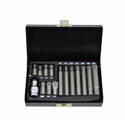 Sukimo antgalių (bitų) rinkinys SPLINE AWTools Blackline AW35119BL (M6–M14, 15 vnt.)