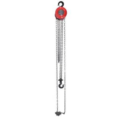 Mechaninis grandininis keltuvas AWTools AW72003 (3 t, 2.5 m)