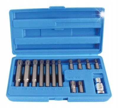 RIBE (Polydrive) sukimo antgalių rinkinys su adapteriu SATRA S-RB1412 (1/2" / 10 mm / M5-M14 / 14 vnt.)