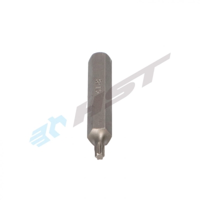 HST 0176 - Bit Torx T25 x 75 mm, upínací rozměr 10 mm