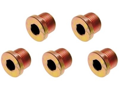 Zátky - výpustné šrouby olejových van, různé rozměry, sada 5 ks - BGS, Rozměry: M13x1,5 mm