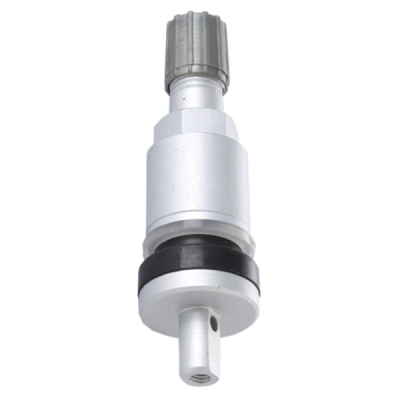 Ventily TPMS, různé druhy - Ferdus, Varianta: TPMS 5. hliníkový