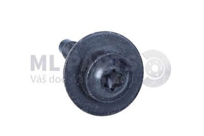 Originál OEM 7703008187