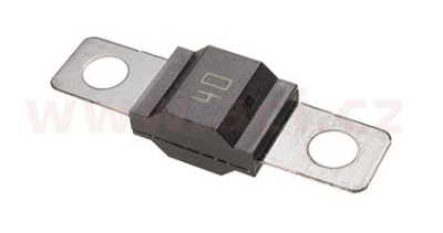 Pojistka HELLA 8JS 742 901-001