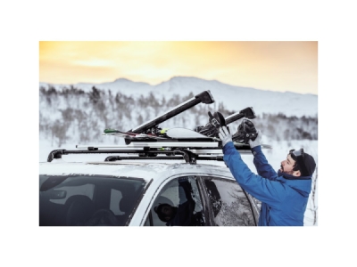TH732500 Thule SnowPack Extender