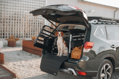 THULE BUMPER PROTECTOR STANDARD