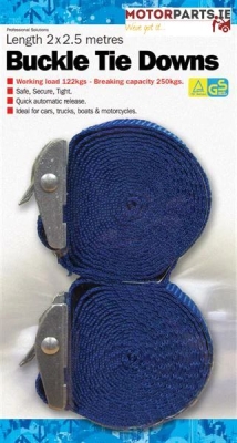 2 X 2.5 METRE BUCKLE STRAPS