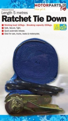 5 METRE RATCHET TIE DOWN WITH HOOKS
