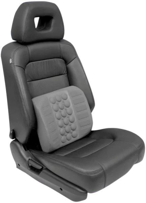 BACK SUPPORT CUSHION