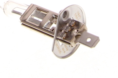 H1 Rallypære 12V 100W – 1 stk.