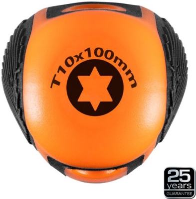 Torx-skruetrækker T10 x 100 mm med magnetisk spids