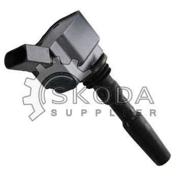 Zapalovací cívka BorgWarner (BERU) ZSE126