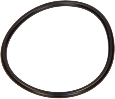 BMW OEM - O-krúžok čerpadla podtlaku BMW 11667794767