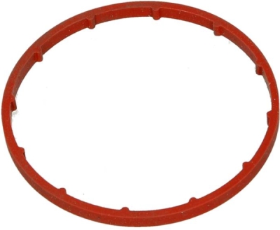 PSA OEM - Tesnenie vákuovej pumpy CITROEN C3 1.4 HDI (02-)/PEUGEOT 407 2.0 HDI 455616