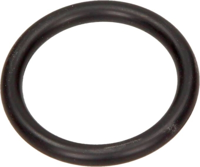 RENAULT OEM - Tesnenie potrubia systému chladenia DACIA, RENAULT 1.4 7703065311