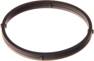PORSCHE OEM - Tesnenie spätného ventilu PORSCHE CAYENNE 11-18 95810761000