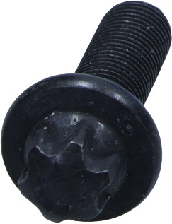 PSA OEM - Skrutka vačky CITROEN 080678