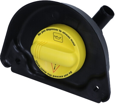 RENAULT OEM - Nalievanie oleja RENAULT MASTER III, MEGANE III/IV NISSAN NV300 8200795333