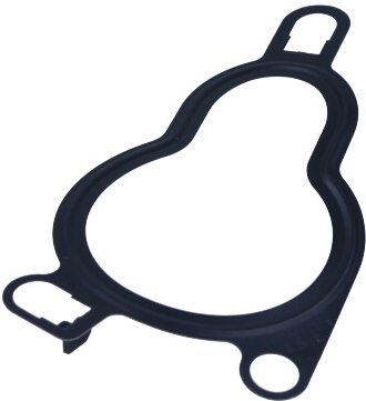 RENAULT OEM - Tesnenie, AGR ventil 7701062171