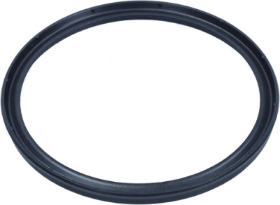 RENAULT OEM - Tesnenie potrubia chladiča vzduchu RENAULT KANGOO, TRAFIC / DACIA DUSTER 08-09 1661800QAL