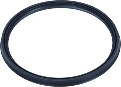 RENAULT OEM - Tesnenie potrubia chladiča vzduchu RENAULT KANGOO, TRAFIC / DACIA DUSTER 08-09 1661800QAL