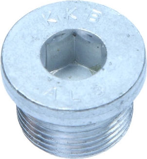 VAG OEM - Skrutka N10037105