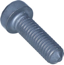 VAG OEM - Skrutka VW CADDY 04-20 N90798202