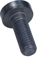VAG OEM - Skrutka VW PHAETON 02- N10490001