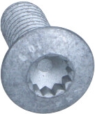 VAG OEM - Skrutka VW TRANSPORTER 03- N10666901