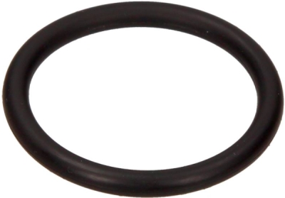 BMW OEM - O-krúžok 11531710048