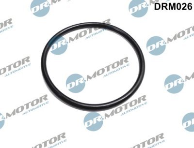 Tesnenie, hrdlo škrtiacej klapky Dr.Motor Automotive DRM026
